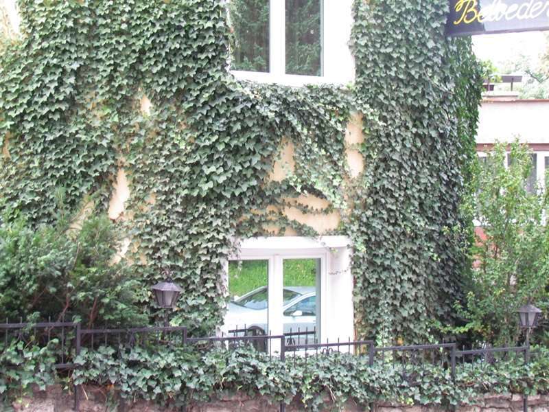 Hotel Belvedere SJJ Eksteriør bilde
